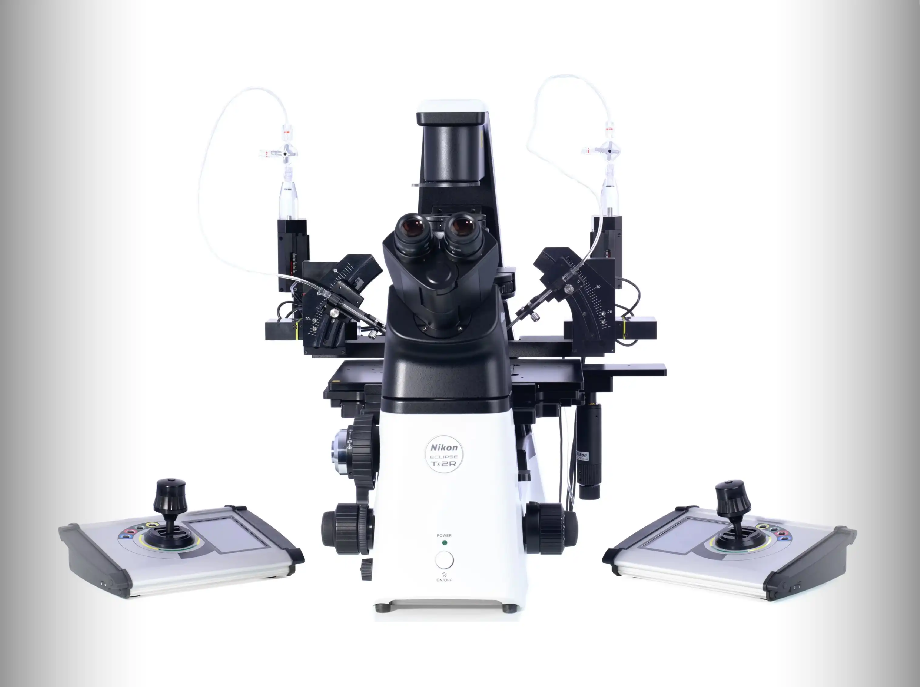 In Vitro Fertilization (IVF) | KSA